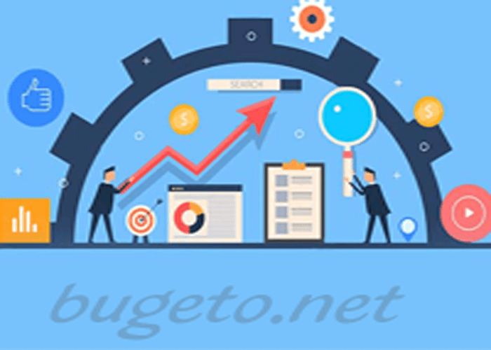 bugeto-87381532-637265234714618919-What-is-SEO-bugeto.png