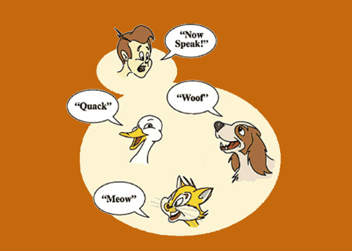 polymorphism-c