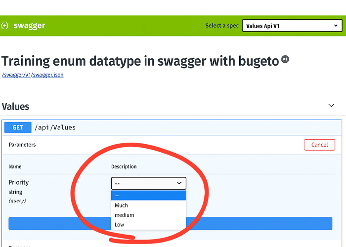 Training enum datatype in swagger